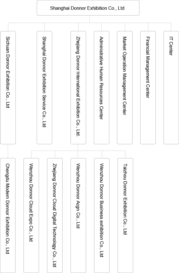 company structure